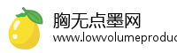 胸无点墨网